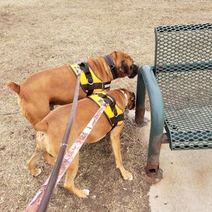 Meet your Posher, Eddie